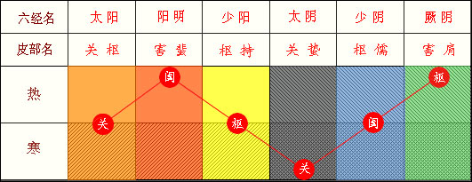 六經(jīng)皮部與關(guān)、闔、樞表